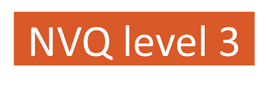 Nvq 3 Logo